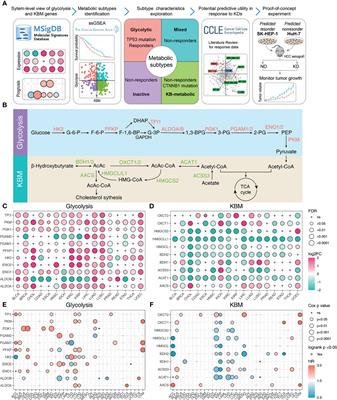 Pan-Cancer Analysis of Glycolytic and Ketone Bodies Metabolic Genes: Implications for Response to Ketogenic Dietary Therapy